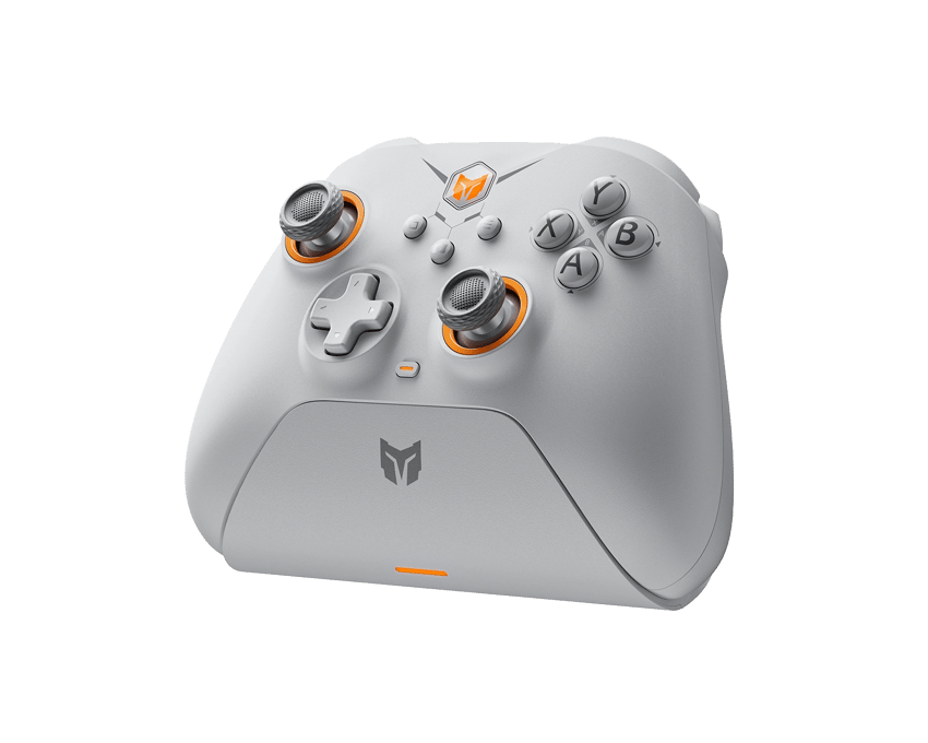 BIGBIG WON Gale Hall Wireless Controller- White