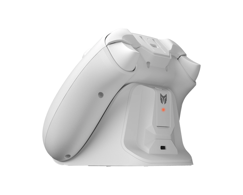 BIGBIG WON Gale Hall Wireless Controller- White